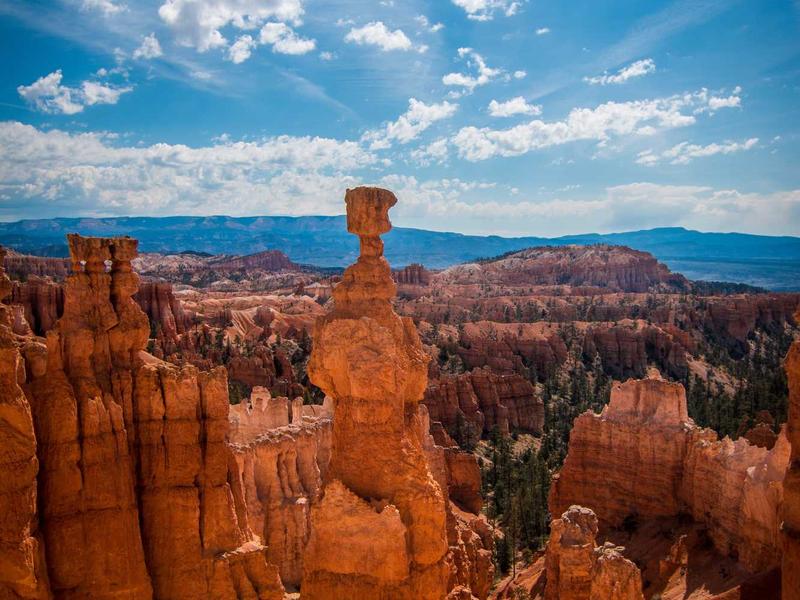 sudoku lifetime access