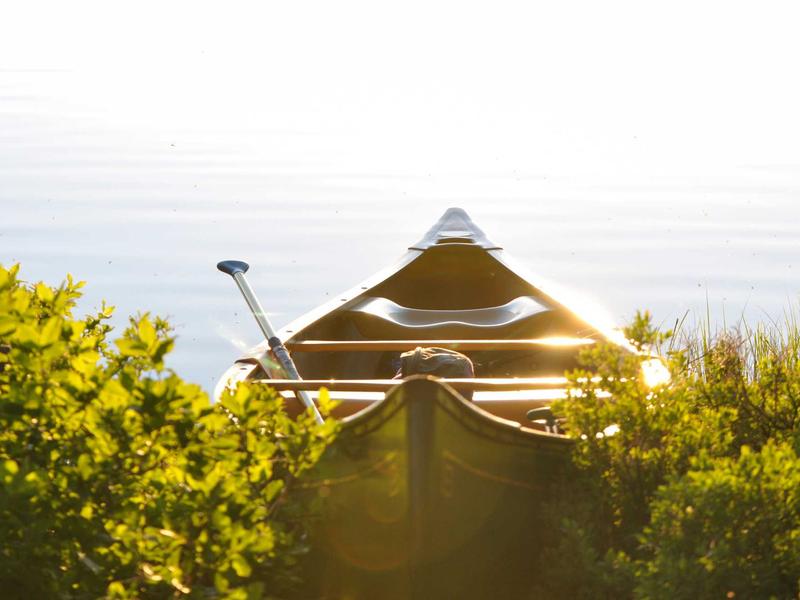 feedback screenshot 4